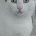 tezcan66 adlı kullanıcı