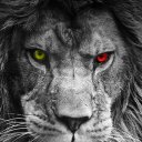 Aslan21x adlı kullanıcı